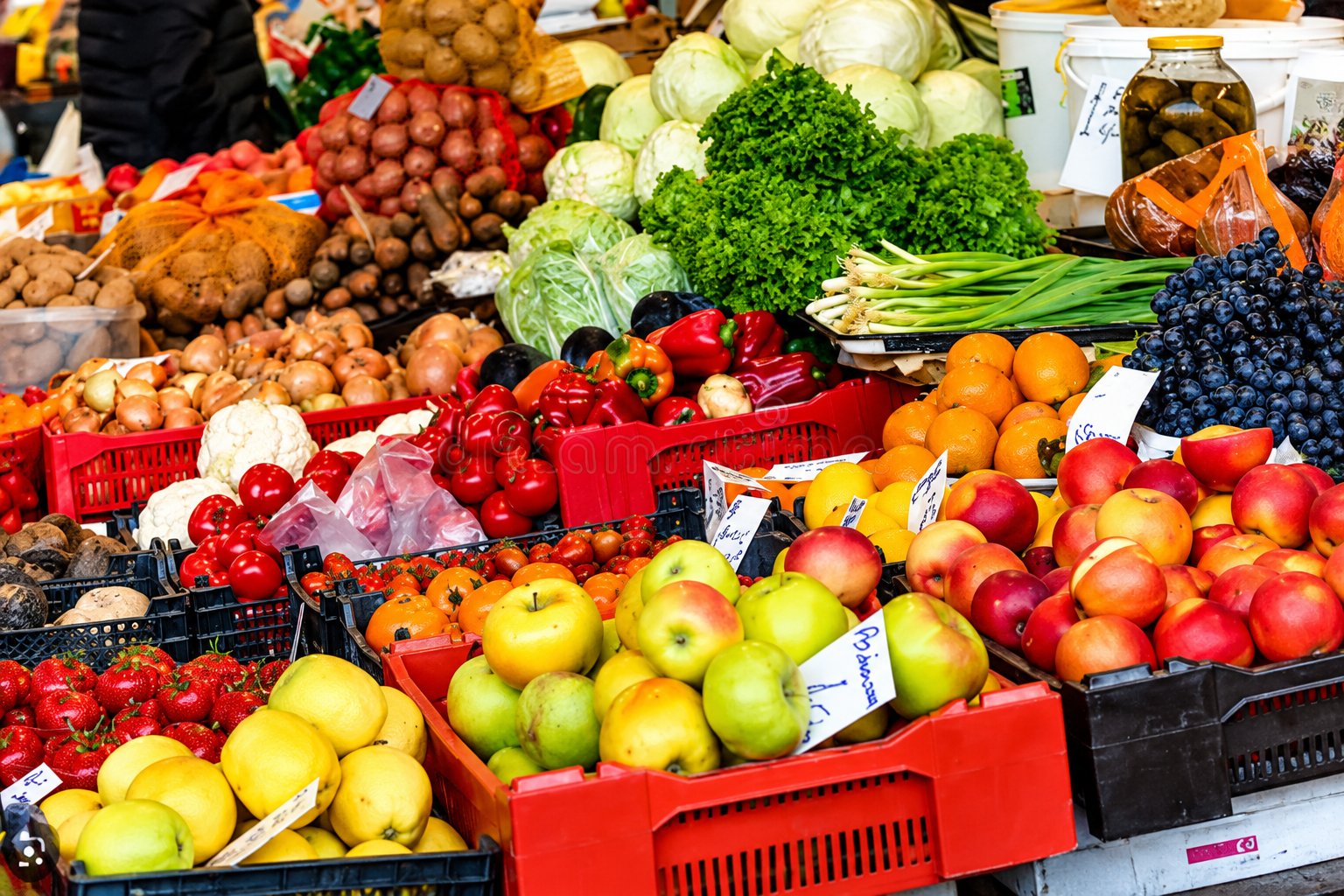 Fresh fruit and vegetables available for vessel provision orders